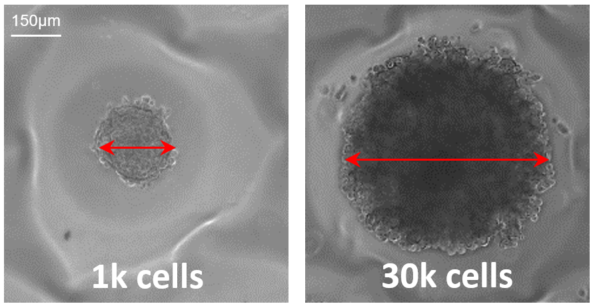 1k vs 30k images