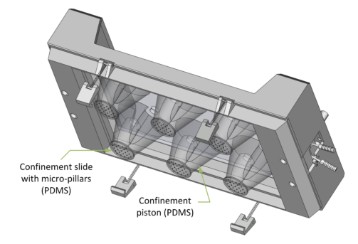 CSOW610