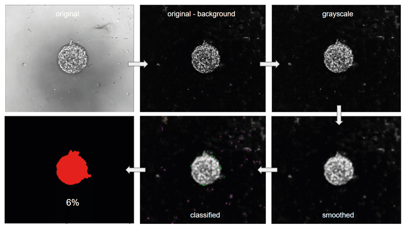 Disk migration assay