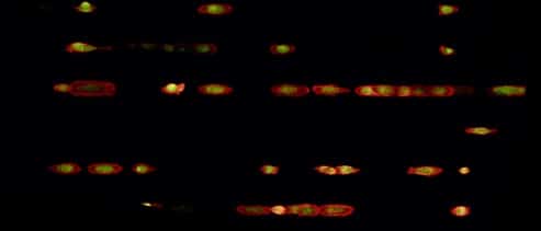 DUV2b-modif3 line micropatterns