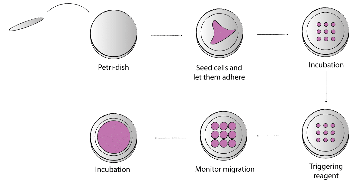 Dynamic micropatterning principle