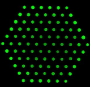 FLUORESCENCEadjusted green 3 FLUORESCENCEadjusted green 3