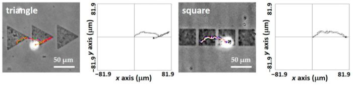 Figure3-1 AN