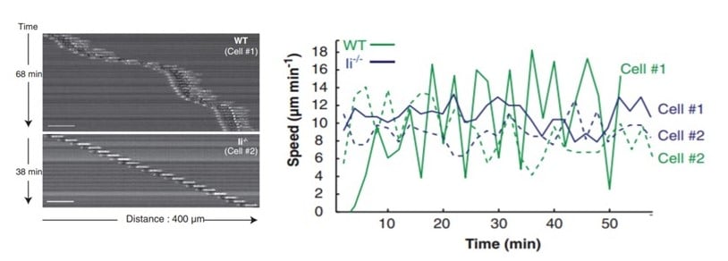 Microchannels application