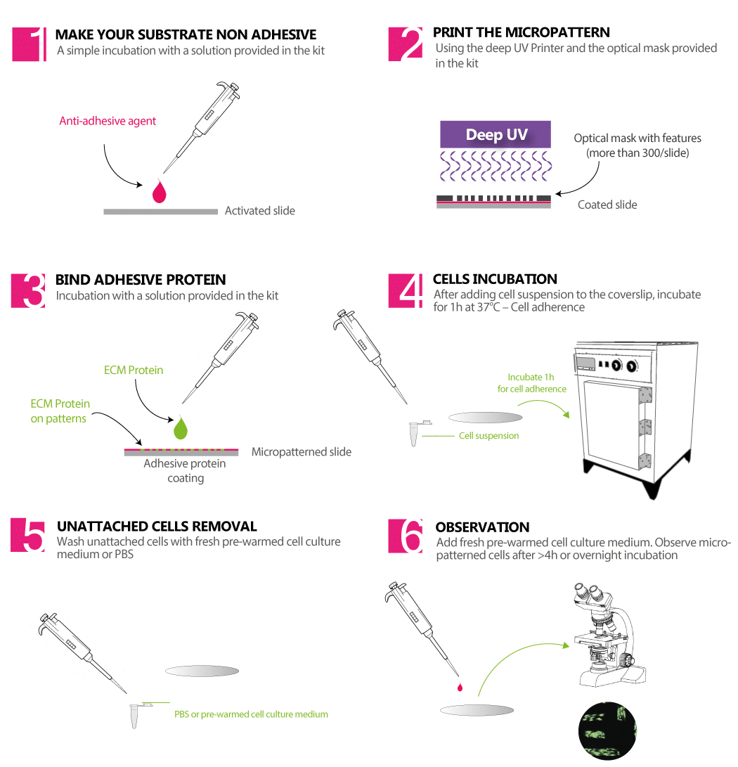 How to make micropatterns for cell culure