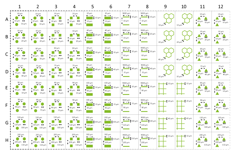 Micropatterned 96 well plates