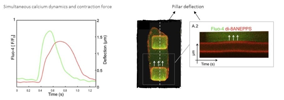 Micropillars application