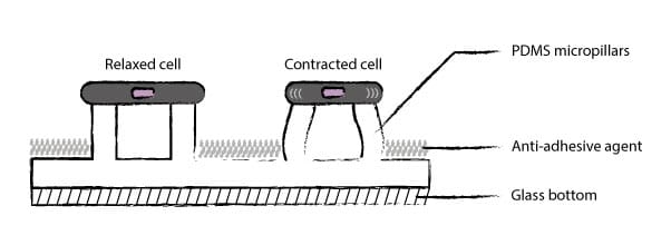 Micropillars principle