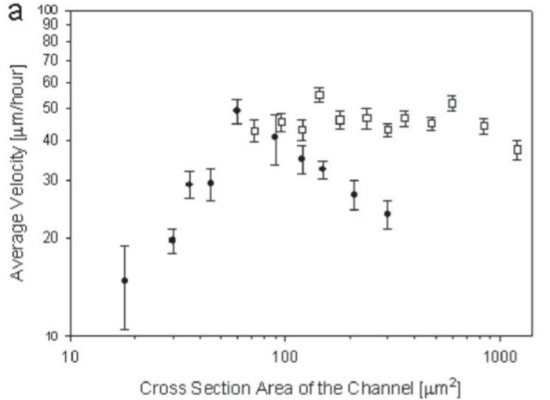 Motility of breast cancer in microchannels