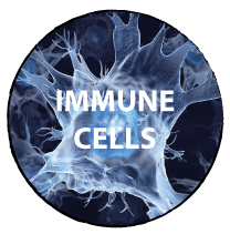 IMMUNE CELLS