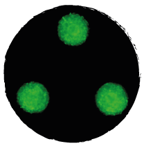 Spheroids solution