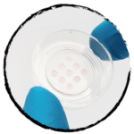 Microchannels cell migration