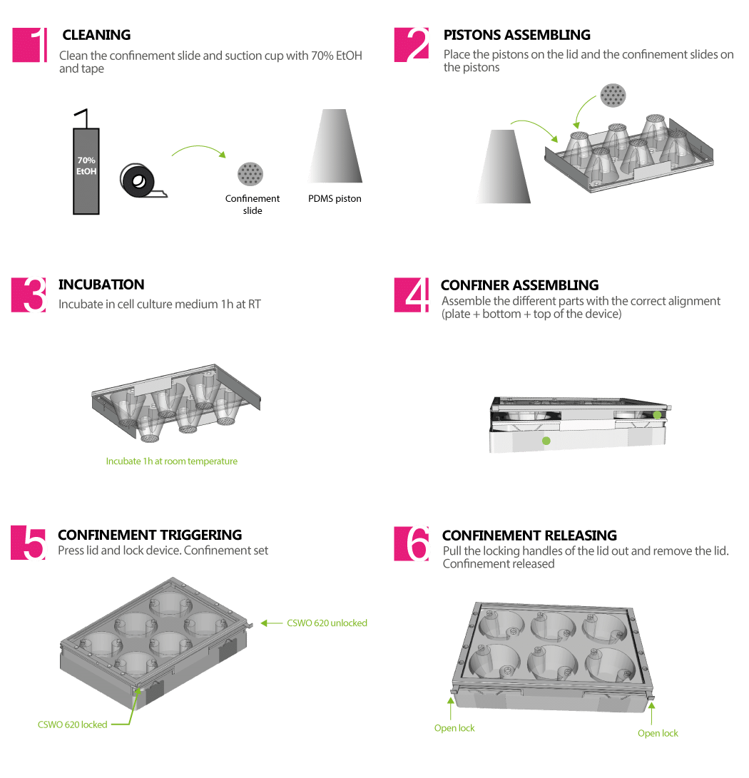 Cell static confinement in 6 wells