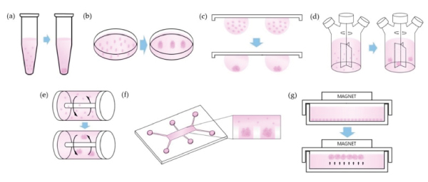 Spheroid tissue culture