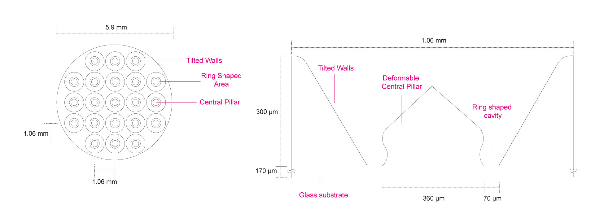 Contractility assay specifications