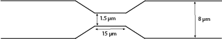 ϸΡϸ˻Ƶ΢ͨ