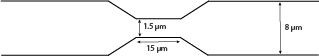 Microchannels with constrictions, cell deformation, nucleus mecanism