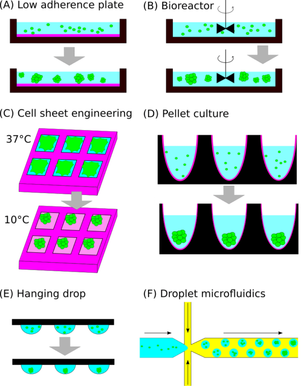 figure.2v3