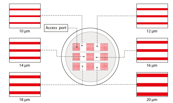 Medium microchannels cell migration