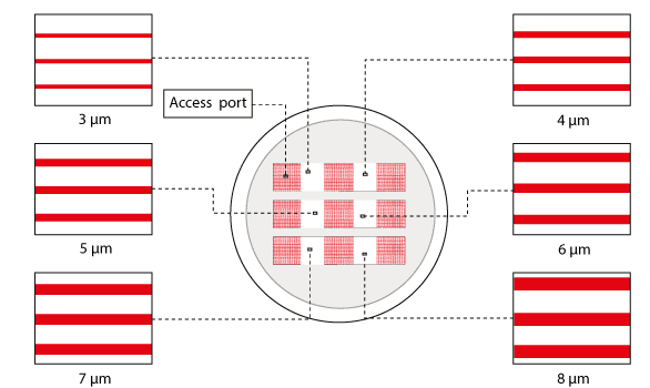 Small microchannels cell migration