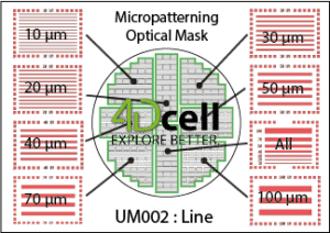 design lines micropattern